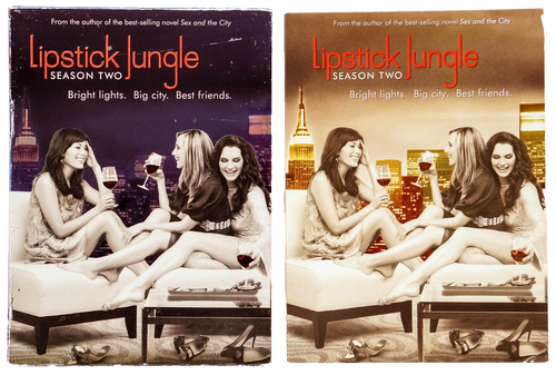 Lipstick Jungle: Season 2 - DVD/2009 - GOOD-Brooke Shields Kim Raver 3-Disc Set - Picture 8 of 10