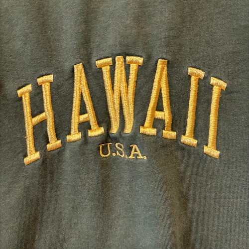 John Galt Brandy Melville Green Hawaii Oversided Pullover Sweatshirt OSFM Preppy - Picture 3 of 12