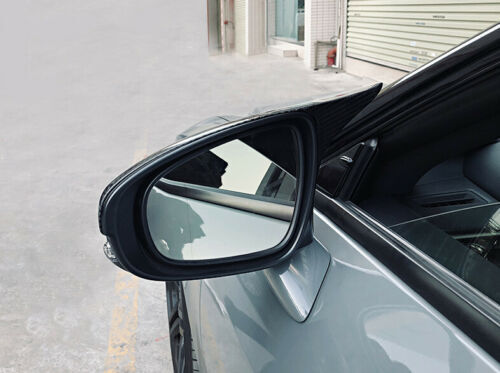 For Lexus IS ES RC CT LS GS Dry Carbon Fiber Ox Horn Rearview Mirror Cover Trim - Picture 8 of 9