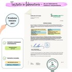 Foto 6 di 7