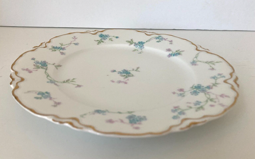 HAVILAND & CO. LIMOGES FRANCE Pale Blue/Pink Floral White/Gold Trim PLATE 8 5/8" - 第 12/16 張圖片