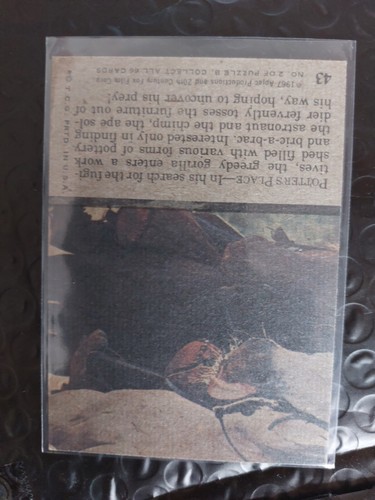 1967 TOPPS Planet Of The Apes Collectable Card #43 Potter's Palace Ex Cond - Picture 2 of 2