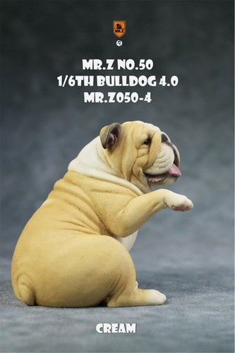 Mr.Z 1/6 British Bulldog V4.0 Perro Mascota Figura Canidae Modelo Animal Juguetes Niño Regalo - Imagen 23 de 27