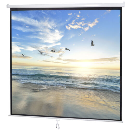 72''/80''/100''/119'' Projector Screen Pull Down Projection Screen Home Theater - Picture 5 of 89