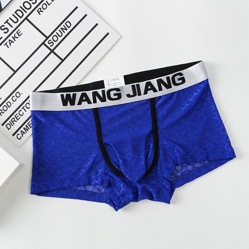 Men's Underwear Elephant Nose Boxer Briefs - Breathable Mesh, Comfortable Fit - Picture 17 of 18