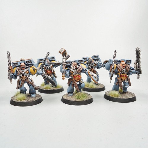 Space Wolves Jump Pack Marines x5 Painted - Warhammer 40k Army Space Marines - Picture 1 of 5