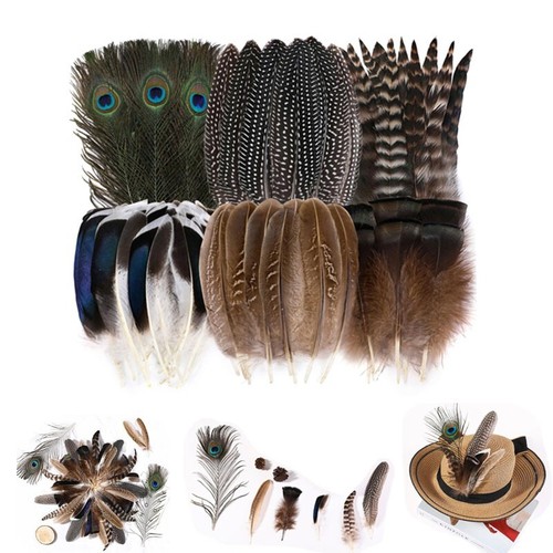 48 plumas de faisán natural plumas manchadas plumas de pavo 6 estilos hágalo usted mismo EE. UU.