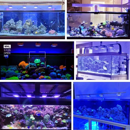 PopBloom RL90 WiFi Control LED Aquarium Light 72" Full Spectrum Reef Coral Tank - Picture 12 of 12