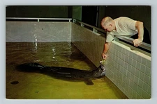 Bishop Space Transit Planetarium FL-Florida, Baby Snoots, Vintage Postcard