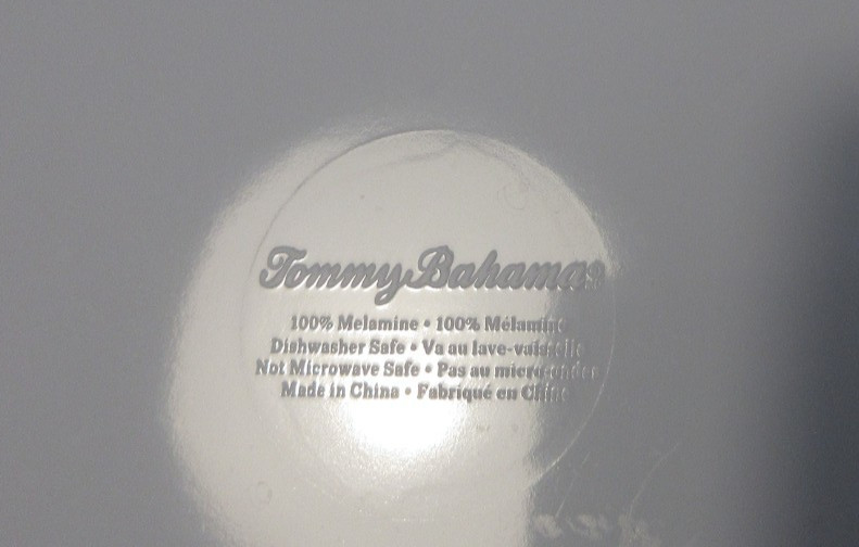 Tommy Bahama Melamine Set of 4 Dinner Plates Sky Blue Rustic Crackle Pattern