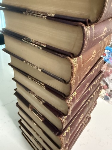 The Stoddard Library Complete 12 Volume Leather Book Set 1910 Vintage - Picture 7 of 14