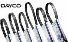 Antriebsriemen DAYCO Standard
