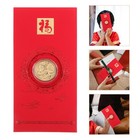 3 Pcs Lucky Money Packet Chinese Envelopes 2025 Red Packets Card