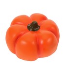  Hide A Key Outside: Weatherproof Fake Pumpkin Key Hider For Garden Yard Patio