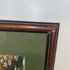 Picture 6 of 7