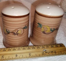 The Main Ingredients 2 Pc Set Salt & Pepper Shakers  2 3/4 x 3 1/2 EUC