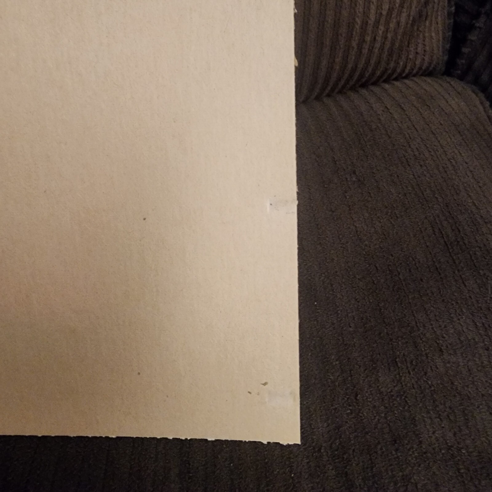 Picture 8 of 10