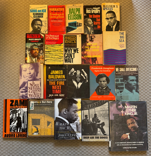 Black African American Studies History Book Lot (20) James Baldwin Audre Lorde