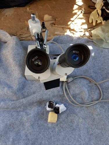 H&H IP LABORATORY Microscope Industrial Extra Set Of Eye Pieces jewelry - Picture 3 of 24