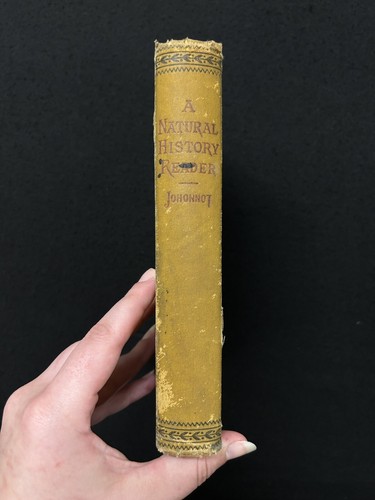 James Johonnot A NATURAL HISTORY READER 1884 D. Appleton VTG textbk - Picture 3 of 5