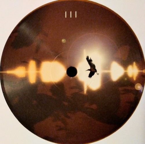 Kate Bush - Aerial - Exclusive Edition 2 x 12" 180gm Goldy Locks Vinyl - Picture 6 of 6
