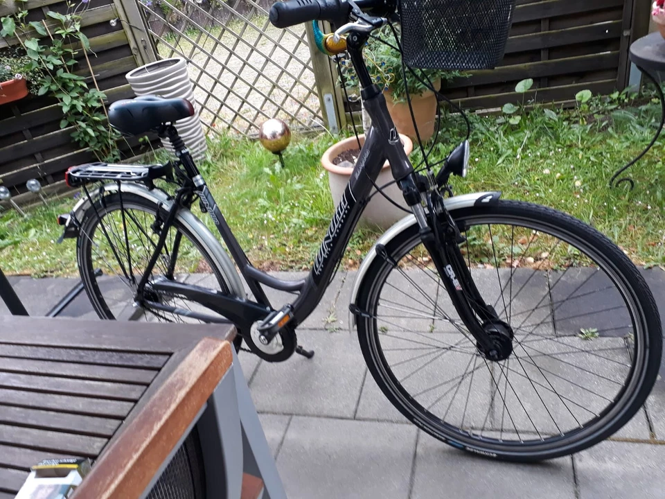 WINORA SAMANA City-/Trekkingrad mit Shimano Nexus 8-Gang - Bild 2 von 4