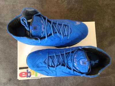 lebron blue suede shoes