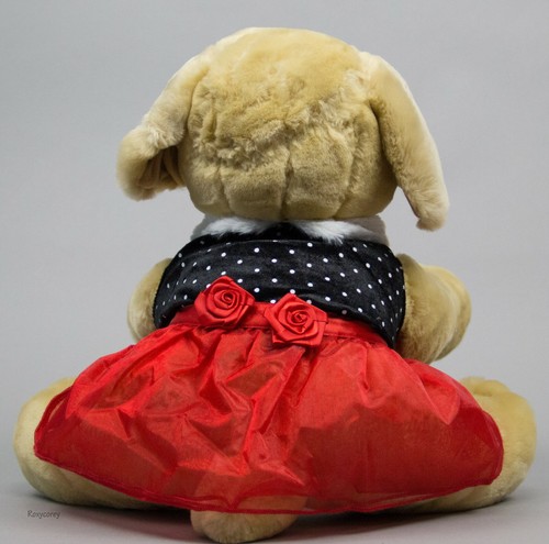 Christmas Holiday Time Black Red Polka Dot Dress Pet Dog Coat Medium 14-15 in - Picture 1 of 2