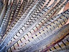 Pheasant Tail Feathers Cat Toys Fly Tying Millinery Trimming Arts Crafts Floral