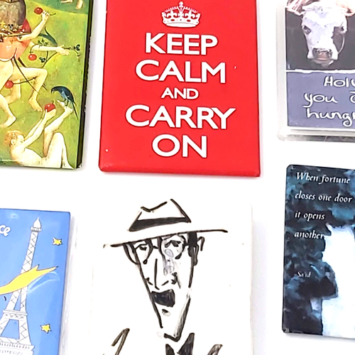 Refrigerator Magnets Various Themes-Collection of 19 Magnets-See Pictures - Foto 10 di 11