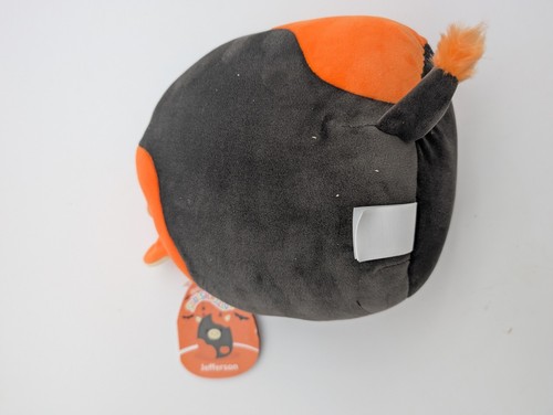 Squishmallows Jefferson Kuh 8 Zoll Plüsch NEU Halloween 2025 orange schwarzer Kürbis #3 - Bild 4 von 4