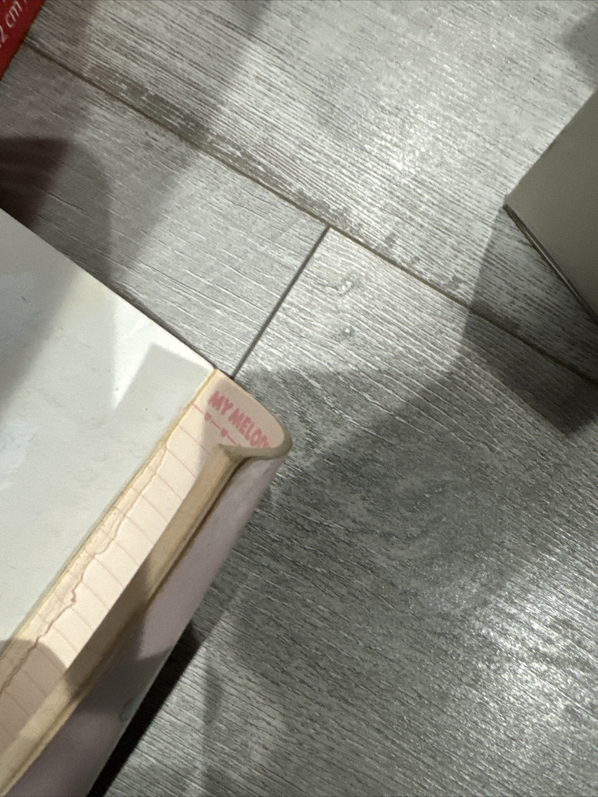 Foto 5 di 5