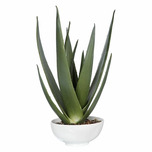 UTTERMOST 60177 EVARADO ALOE PLANTER WITH NATURAL STONES IN GLOSSY WHITE BOWL - Picture 1 of 3