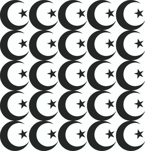 MOON & STAR Stickers (Pakistan, Islam, Turkey) ideal for walls, glass and more - Picture 5 of 5