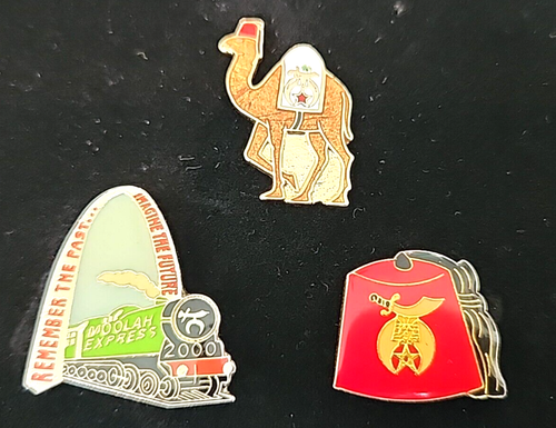 Shriners Masonic St. Louis Lapel Pin Bundle - Picture 5 of 13