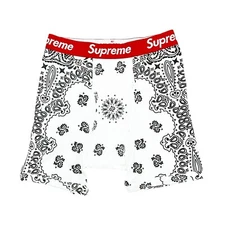 Supreme x Hanes Bandana Boxer Briefs White
