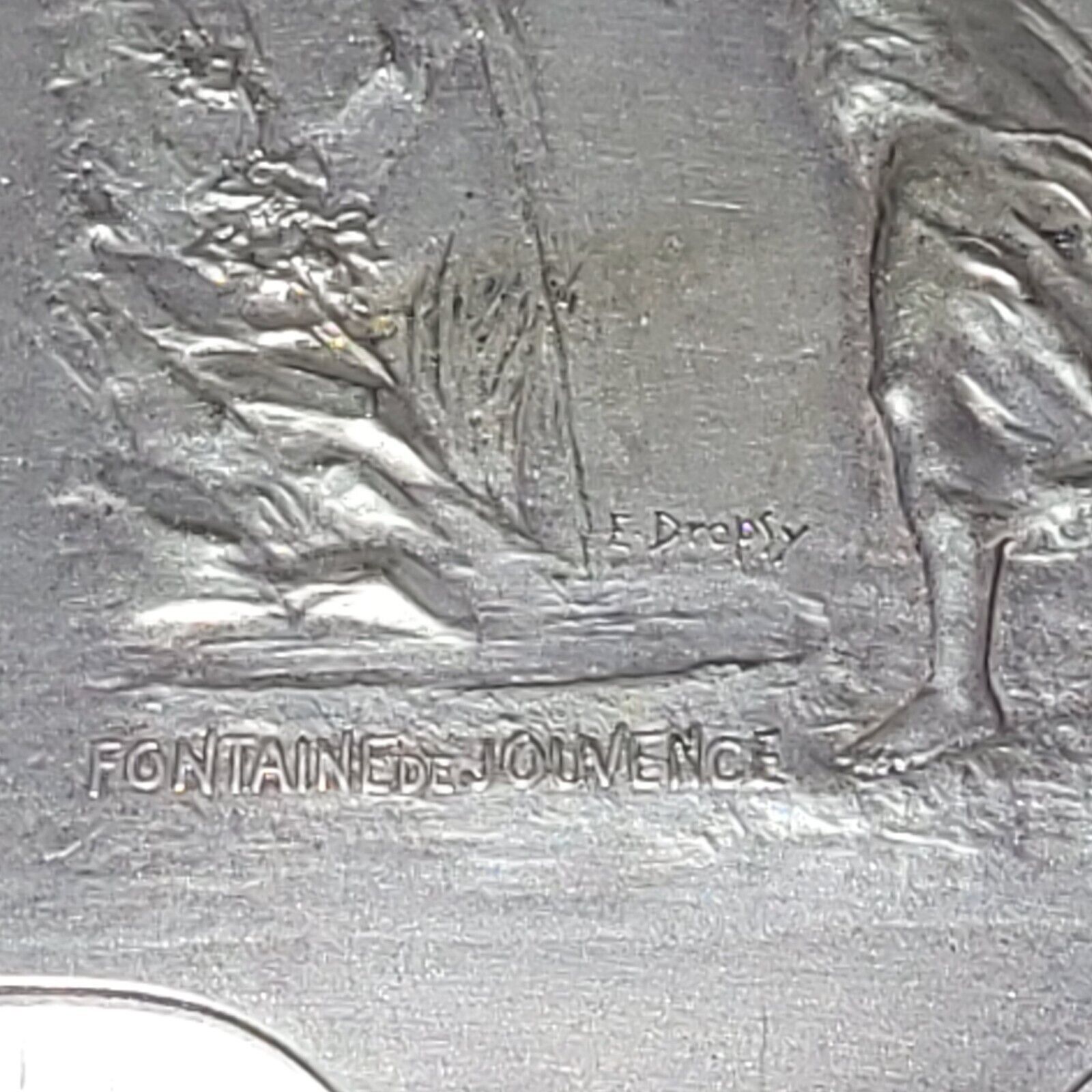 Picture 6 of 6