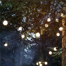 Festoon Light HIRE Weddings