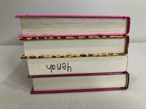 Dork Diaries gemischtes Set Hardcover & Taschenbücher #1,4,9,10 NICHT-SO Serie GUC - Bild 11 von 12