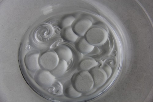 VINTAGE LALIQUE FRANCE SIGNED FRENCH ART GLASS MARIENTHAL PATTERN PLATE 6.3/4 IN - Picture 6 of 13