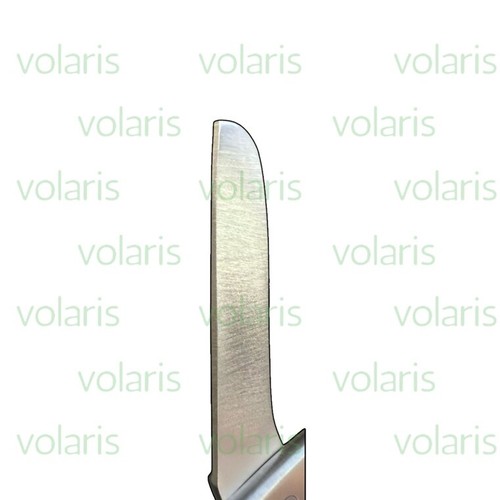 Set of 4 Lister Bandage Scissors, 5.5", Economy - Picture 8 of 8