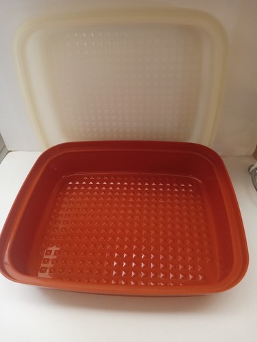 Tupperware #1294 großer Fleischmarinadenbehälter "Season & Serve" mit Deckel, kostenloser Versand