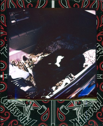 COLD STORED Polaroid Color i-Type Film – Thrasher Edition - Picture 11 of 11