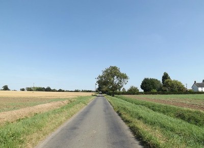 Photo A2 Long Lane, Short Green Banham Approaching Boundary Farm c2016