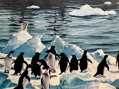 Impresión artística vintage de expedición antártica rompehielos Polarstern con decoración de pingüinos - Imagen 7 de 10