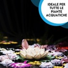 Foto 17 di 24