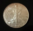 2004 American Eagle One Ounce Silver Dollar | Great Condition w/ Toning