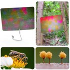 12PCS GUAGE Double-Side 24-Color Macro Photo Background Card 1Set- Painting V4S9