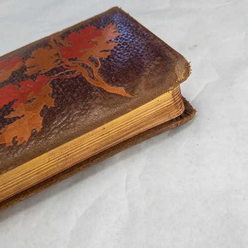 Evangeline: A Tale of Acadia Henry W. Longfellow - HC, No Date, ANTQ Conkey Pub - Picture 16 of 18