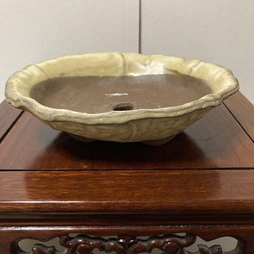 Japanese Bonsai pot Oval shape W18.5cm H5cm Ochre Glazed - Picture 21 of 24